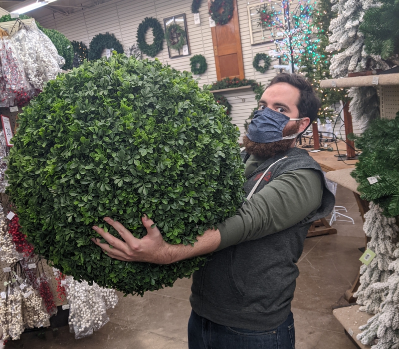 The writer is holding a giant green leafy ball. He has dark hair and a beard and is wearing a mask. He is leaning back. Photo by Andrea Black.