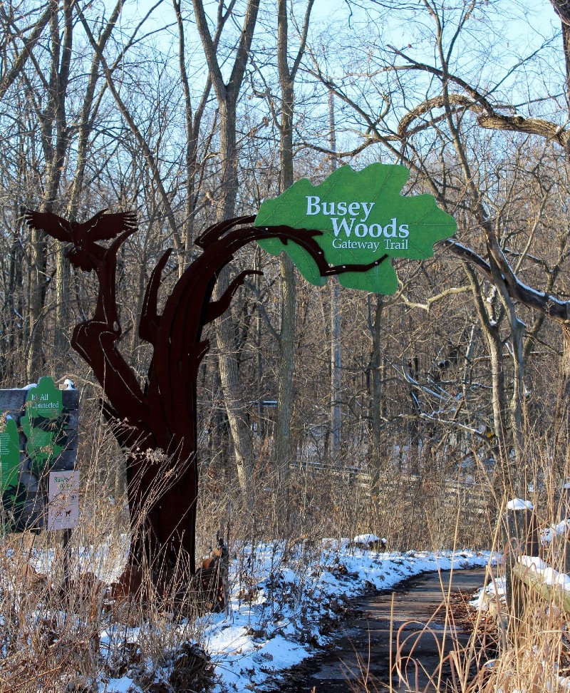 A sign post that is brown and shaped like a tree has a green leaf sign with the words Busey Woods Gateway Trail white lettering. A path leads into the woods, filled with bare branched trees. There is some snow on the ground. Photo from Facebook event page.