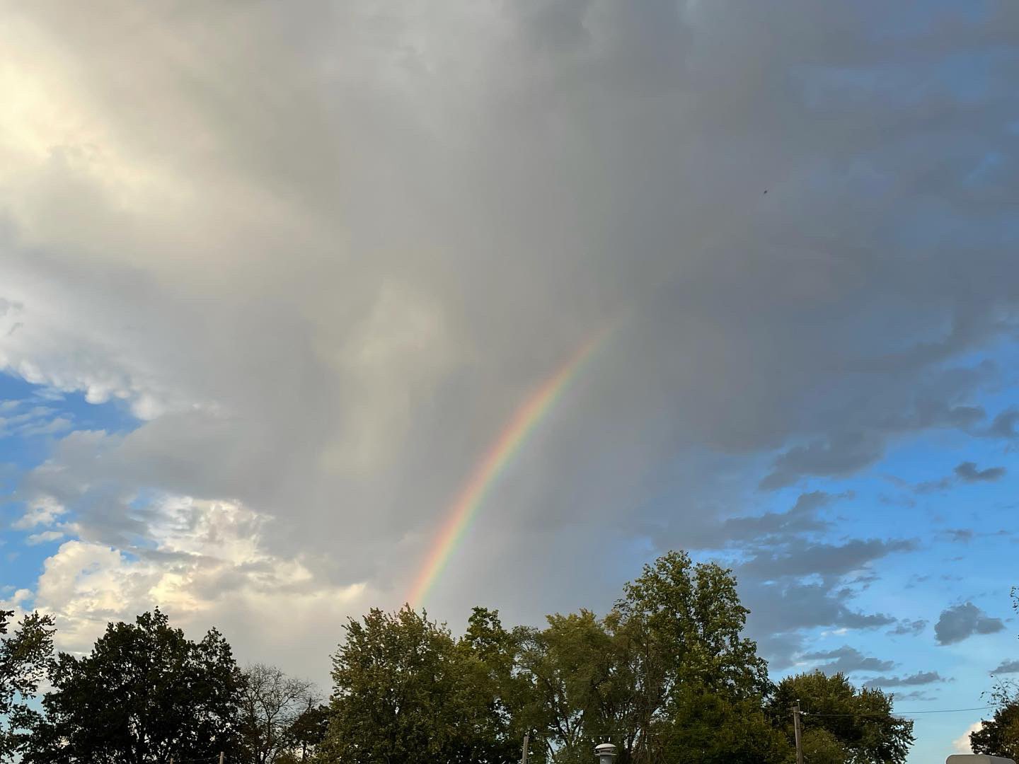 An arc of a rainbow stretches through a rain cloud then disappears behind a line of trees. Photo by Andrew Pritchard.