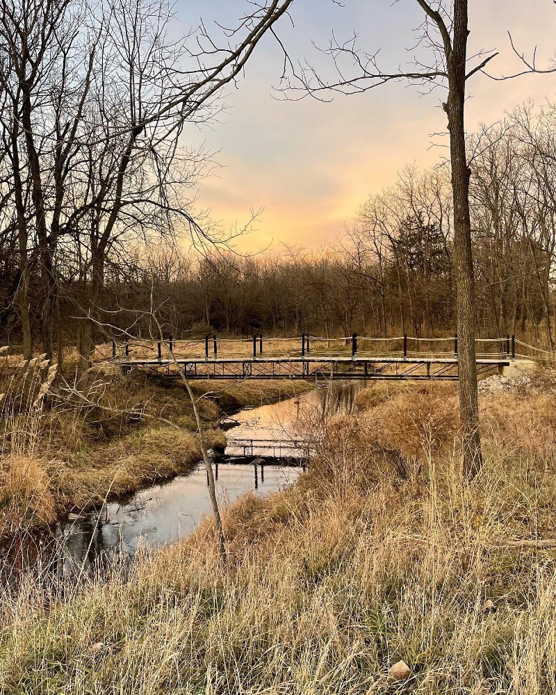 A bridge stretches over a small creek. The creek is lined with brown grasses and bare branched trees. The sun is setting in the background. Photo by Mara Thacker.