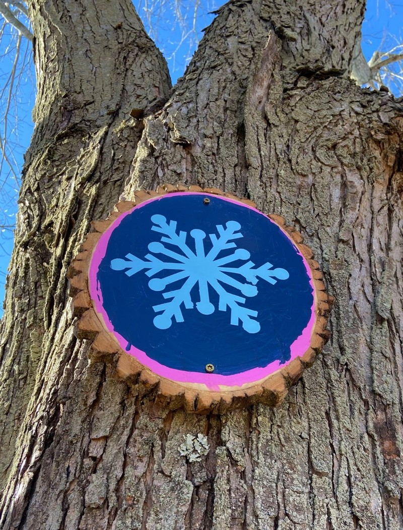 A slice of a round log is painted with a blue background and pink border with a white snowflake in the center. It is hanging on a tree. Photo from CCFPD Facebook page.