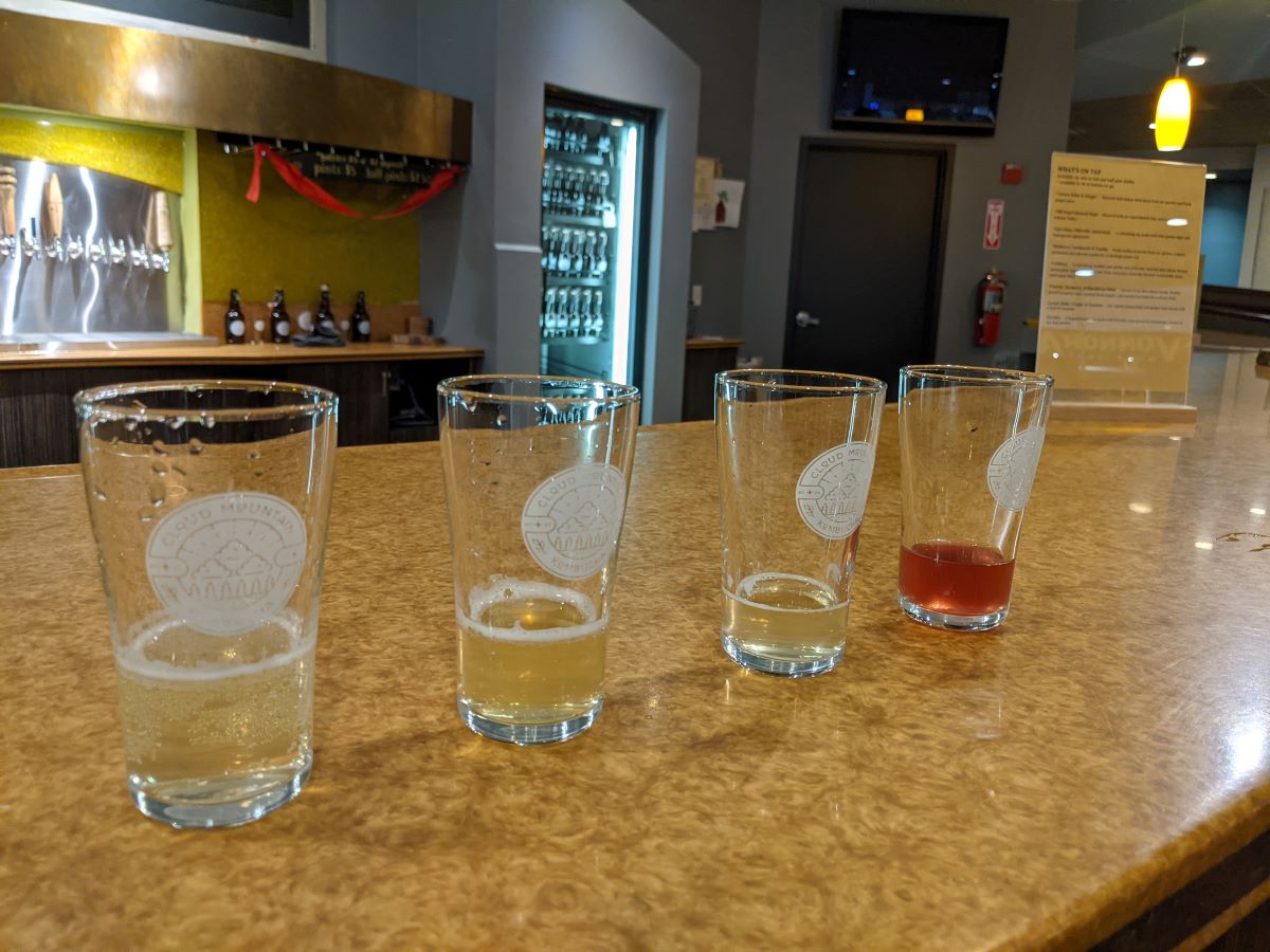 Tasting glasses - Four clear glasses, three with a pale yellow kombucha and a fourth one with a burgundy colored kombucha. Photo by Tias Paul.