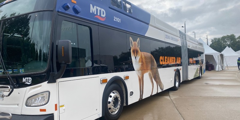 A 60 foot city bus with the image of a fox on it.