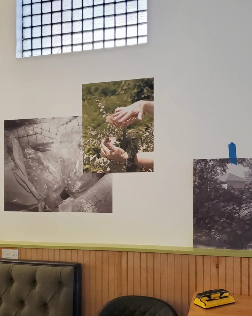 Photo of photographs hanging on a wall. The images are of hands touching prairie plants and the outside of an older home.
