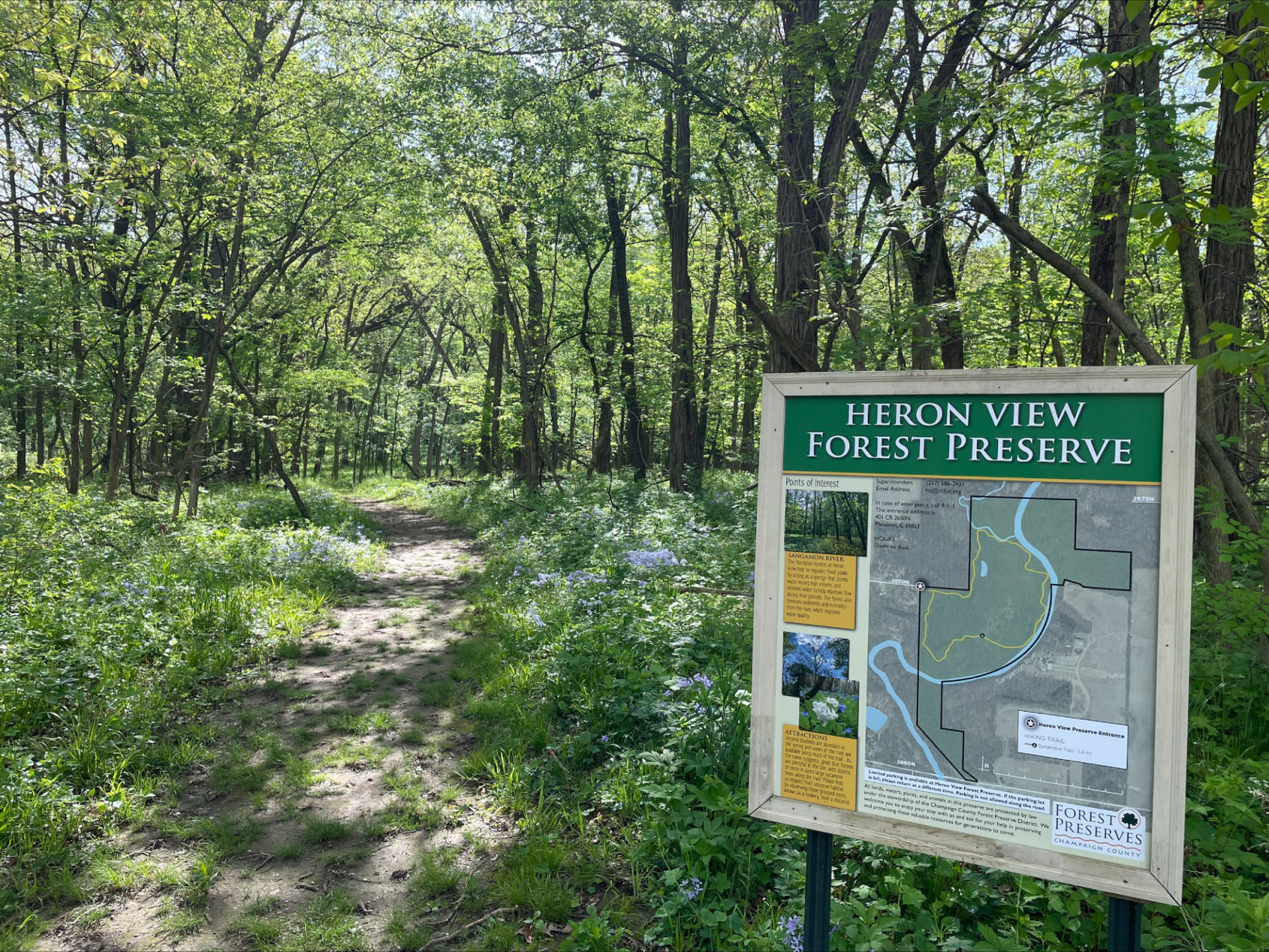 The Heron View Forest Preserve trail, viewed from the beginning, with a map on a sign post on the right. It is sunny and there is a lot of green on the ground and leaves on the trees.